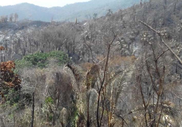 Fuego en zona rural de Riohacha, a la altura de la Sierra Nevada de Santa Marta. 