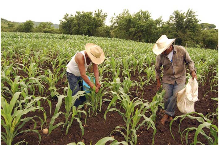 3,2 billones de pesos fue la inversión realizada por MinAgricultura en sus dos últimos años.