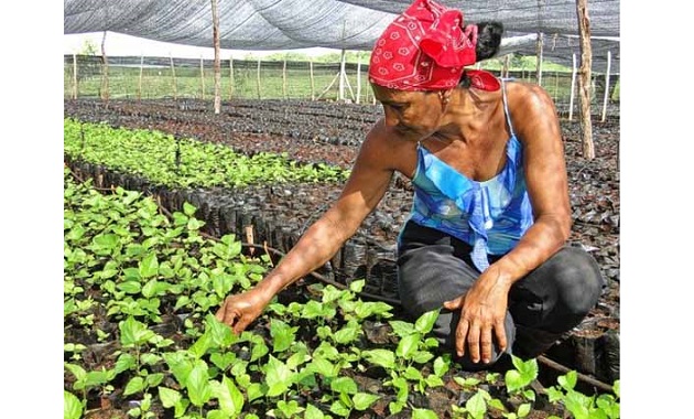 5.3 millones de mujeres habitan el campo colombiano.