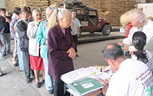 51.280 caficultores antioqueños están habilitados para votar en las elecciones cafeteras de septiembre de 2018.