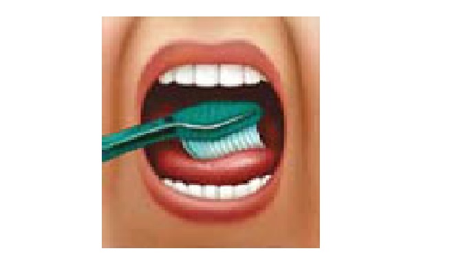  Cepille suavemente el exterior e interior y la superficie de masticación de cada diente con movimientos cortos hacia atrás.
