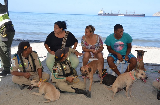 ‘Negrita’, ‘Carla’ y ‘Pepito’ fueron unos de los primeros 278 animalitos afortunados en tener un nuevo hogar a través de la ‘Adoptatón’ de este fin de semana.