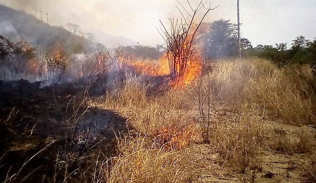 Los incendios forestales que provocan las personas al arrojar botellas y reciduos que le hacen daño al medio ambiente.