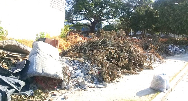 Habitantes que circundan la zona afectada, denuncian que han visto carromuleros arrojar costales de basura, muebles y colchones viejos, pedazos de árboles que quedan después del ramajeo y escombros. Foto: Orlando Marchena.