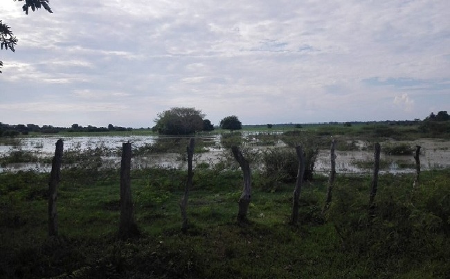 Chiriguaná tiene un complejo cenagoso bastante amplio, ubicado al norte, donde conecta con el Río Cesar. 