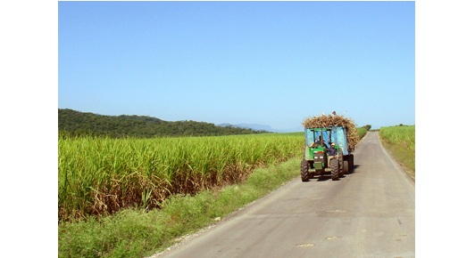 En Colombia aun es poco el uso que se le dá al Biocombustible.