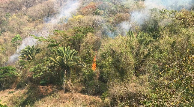 A través del video, suministrado por los Bomberos, se puede evidenciar el extenso humo que sale de la zona boscosa 