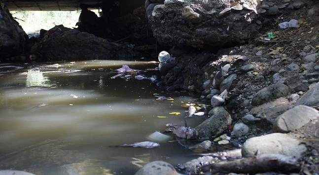 La situación actual de la derivación que nace del río Guatapurí es crítica y se encuentra afectada por la sequía que es producida por el fenómeno de El Niño.Foto: El Pilón.