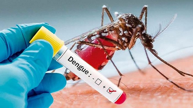 El Dadis advirtió que hasta el 9 de marzo se notificaron tres casos probables de muertes por dengue, de los cuales dos fueron confirmados la semana pasada por el Instituto Nacional de Salud. 