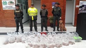 En lo corrido de la semana, las autoridades han incautado en el aeropuerto El Dorado cerca de 1.700 animales silvestres que iban a ser traficados para su venta ilegal.