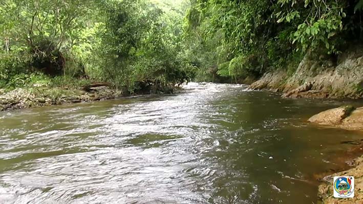 Río Palomino