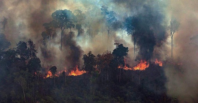 Los estados amazónicos han organizados misiones locales para intentar frenar el fuego que devora rápidamente la selva.