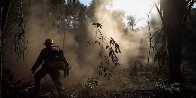El pasado 7 de septiembre la Fuerza Aérea Colombiana informó que hasta entonces unas 120 mil hectáreas de bosques habían sido arrasadas por incendios forestales en el país. 