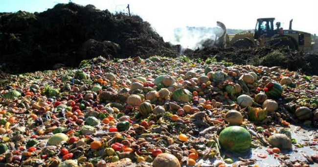 El 8% de las emisiones de gases invernadero están relacionadas con el desperdicio de alimentos.