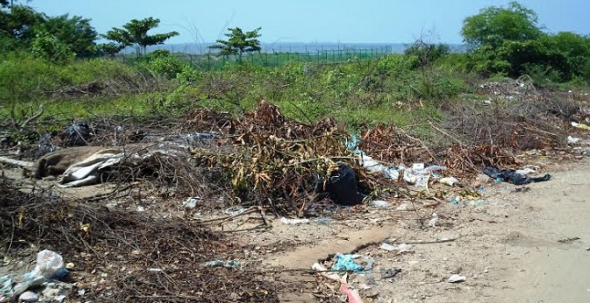 La zona ha sido convertida en un basurero a cielo abierto por debido a la frecuencia con que depositan desechos en el sector. 
