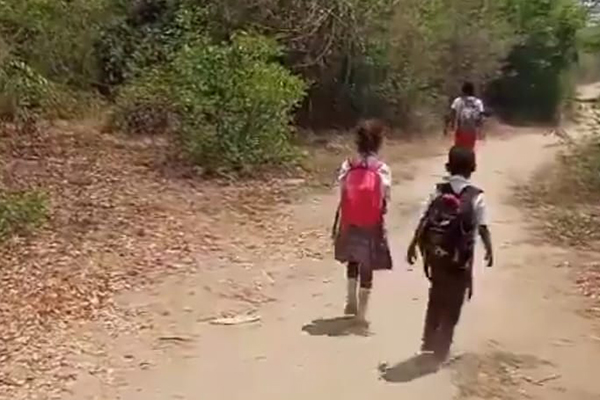 Imagen captada en video sobre las dificultades que pasan los niños para ir al colegio en la zona rural de Plato, habiendo un contrato adjudicado y suscrito para la prestación de este servicio escolar.
