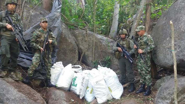 Los soldados y el Grupo de Comandos Jungla de la Policía Nacional, después de realizar sus investigaciones destruyeron controladamente la droga. 