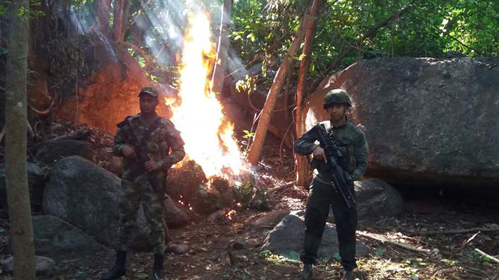 El Ejercito en coordinación con el grupo Antinarcóticos de la Policía, decomisaron y destruyeron 712 kilogramos de droga perteneciente al grupo delincuencial  “los Pachencas”.
