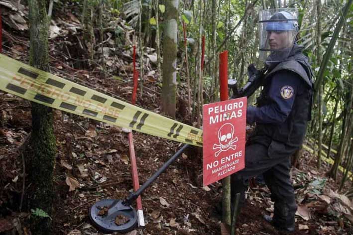 11.481 colombianos han sido víctimas de minas antipersonal entre 1990 y 2017