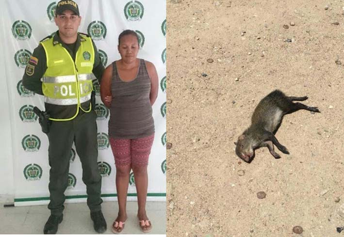 Ángela Villa Puertas, debe responder por maltrato animal. 