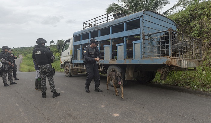 Policía, Ejército y la Armada Nacional adelantan intensos operativos para regresarle la tranquilidad a esa zona del departamento de Bolívar.
