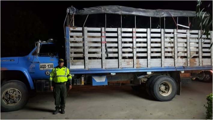 En este camión de placas AQO-138 era movilizado de manera ilegal un lote de ganado valorado en 28 millones de pesos.