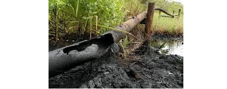 La empresa de petróleo indicó que en lo que va de 2019 se han registrado cinco ataques a su sistema de transporte de crudo en Nariño. Yahoo Noticias