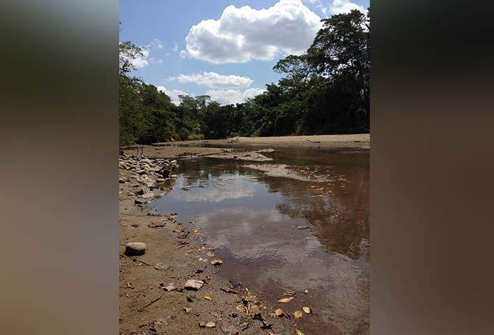 El río Tapias y el de Tomarrazón están siendo acabados por la mano depredadora del hombre, situación que se le debe poner freno para protegerlos.