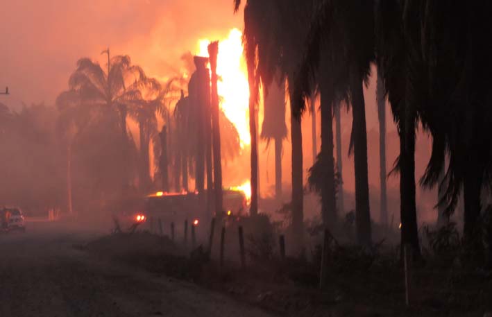 El fuego ha causado daños ecológicos en grandes porcentajes de las hectáreas de cultivos en Ciénaga. 