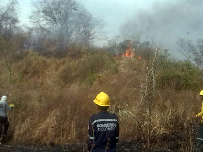 Más de 60 bomberos han trabajo durantes estos cinco días logrando mitigar el fuego que  ha afectado 1.200  hectáreas  de bosques nativos y cultivos. 