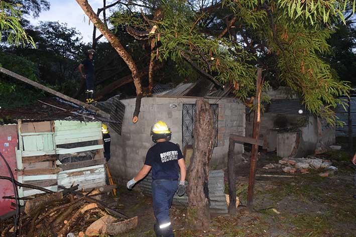 Una de las emergencias presentadas durante las fuertes lluvias de ayer fue la caída de un árbol en Gaira; dejó tres personas heridas y pérdidas materiales. Foto Edgar Fuentes Acosta.b1