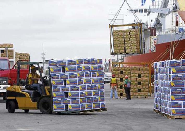 En materia de exportaciones, el crecimiento se vio impulsado por el banano que aumentó 11,6 %, con 25 millones de cajas exportadas a los mercados internacionales.