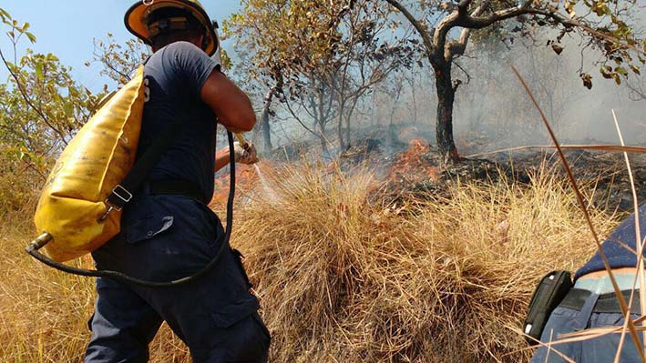El viento propagó las llamas de un incendio forestal ayer en el sector de Tigrera.