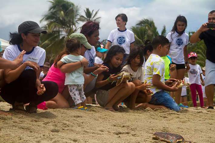 Los niños son quienes más disfrutan el proceso de introducción al hábitat natural de las tortugas y con esta actividad se les crea una conciencia de conservación.  