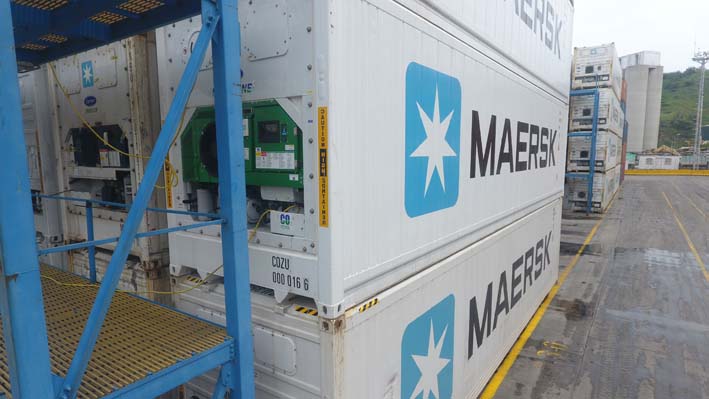 La naviera danesa Maersk  prueba en el Puerto de Santa Marta sus primeros 100   contenedores  con  tecnología de congelación Natural Line.