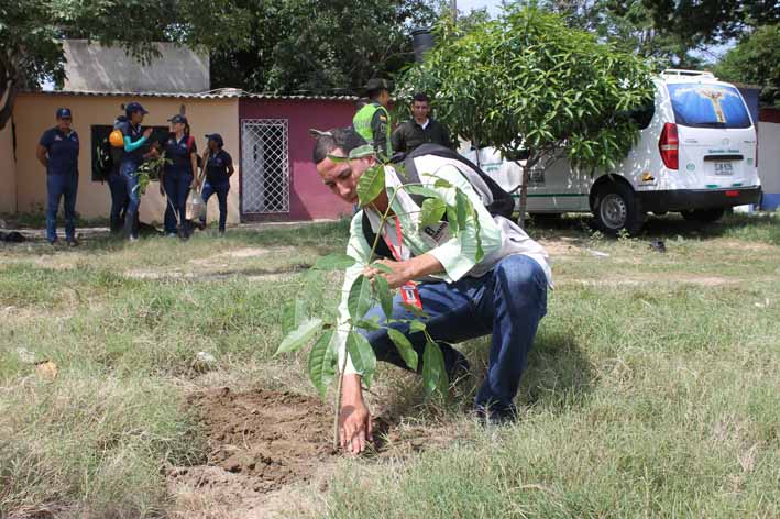 Cesar Barrera, periodista de EL INFORMADOR realizando su plantación de un árbol de roble #RetoPiensaVerde.
