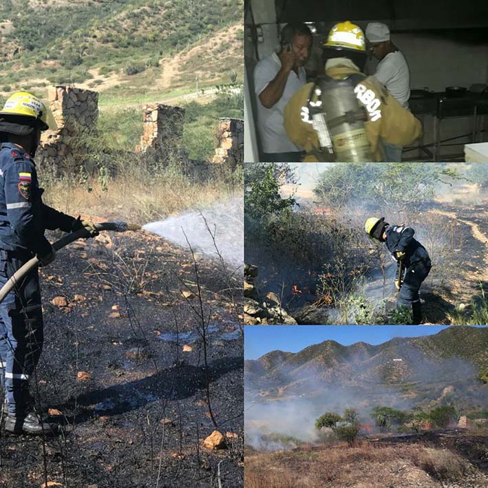 Es preocupante que en Santa Marta en lo corrido del mes de diciembre, el cuerpo de bomberos ha atendido aproximadamente 40 casos de incendios forestales.
