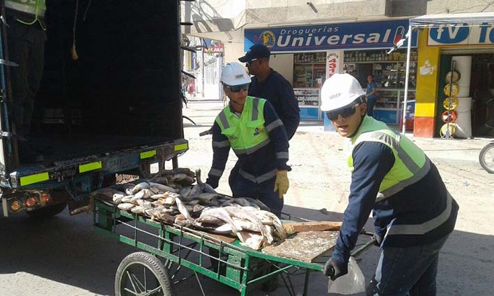 El operativo fue realizado en un sector aledaño al mercado público, donde el personal de la Udep y Secretaría de Gobierno se hizo cargo de la inspección del pescado.