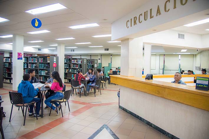 Actualmente la Universidad del Magdalena cuenta con más 2.200 libros electrónicos correspondientes a la colección Ebooks 724, la cual tiene aproximadamente 13 editoriales que hacen parte de esta colección y permite actualizar la bibliografía de todas las facultades y programas académicos con que cuenta esta Casa de Estudios Superiores.