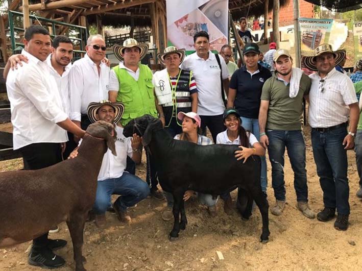 ICA participa en la feria ovino caprina del municipio de Ariguaní.