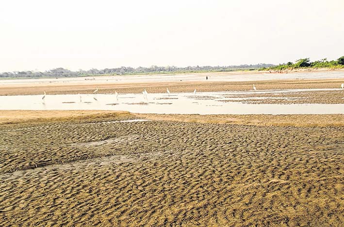 Panorama desolador en algunos tramos del río Magdalena por el fenómeno de El Niño. Foto  archivo.