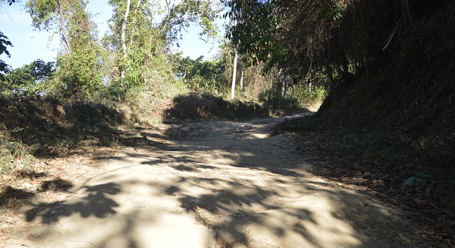 En este estado se encuentra la vía Minca - La Tagua.