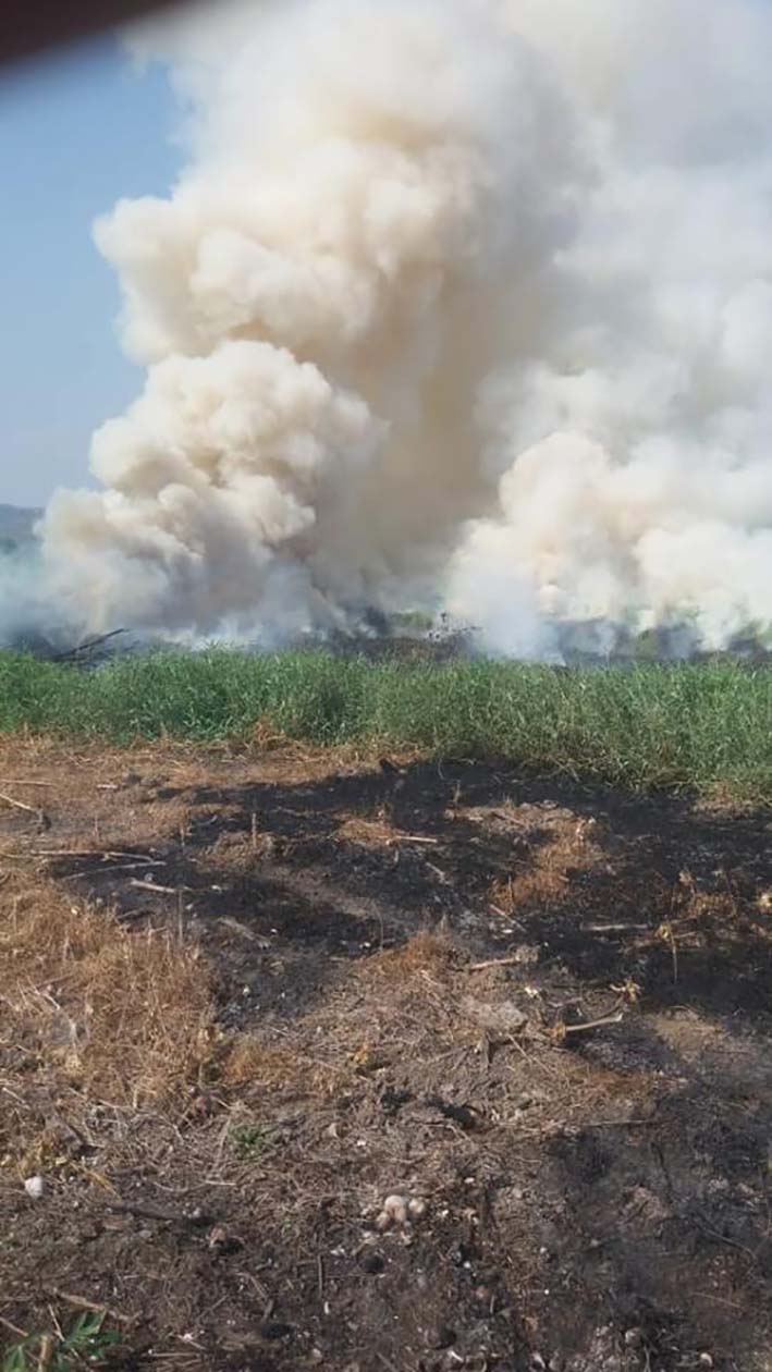 El Comité de Riesgos y Desastre, hace un llamado a la comunidad para que no provoquen los incendios forestales.