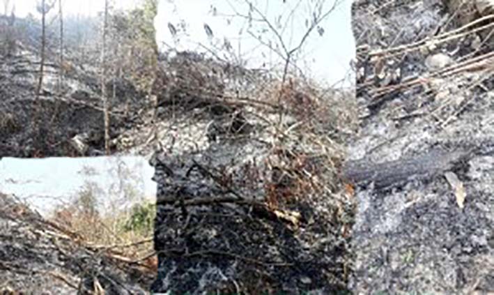 Uncendio forestal ilegal originado por un propietario de una finca del sector, quemó aproximadamente 180 metros de tubería.