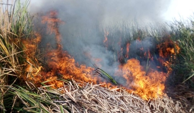 Nuevamente vuelven los incendios de cobertura vegetal al área rural de Ciénaga.