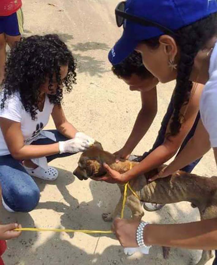 El cuidado, alimentación y protección de los caninos y felinos sin un hogar, es la finalidad de la Fundación Operación Garritas por Ciénaga.