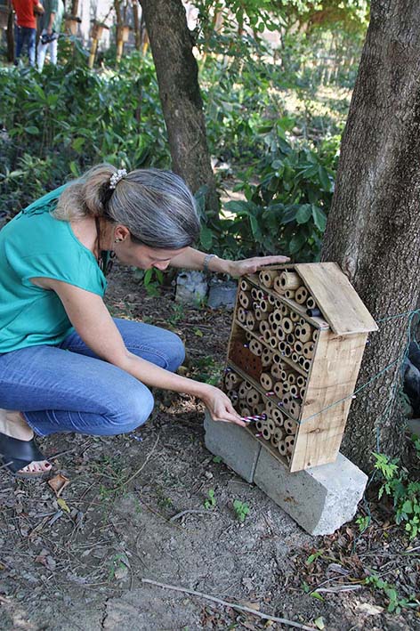 Llamados hoteles de abejas fueron instalados en cinco puntos de la Universidad del Magdalena, con el propósito de lograr estudiar e identificar las especies que se encuentran en el campus y sus alrededores.