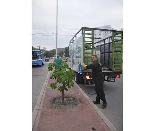 La UME trabaja porque en cada sector de la ciudad los árboles estén cuidados.