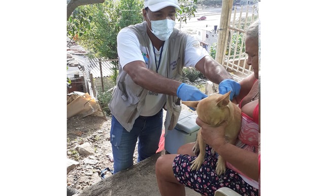 La vacunación masiva canina y felina que adelanta el Distrito, a través de la Secretaría de Salud, tiene como objetivo prevenir la rabia en los humanos como enfermedad zoonótica y la transmisión del virus a otros animales.