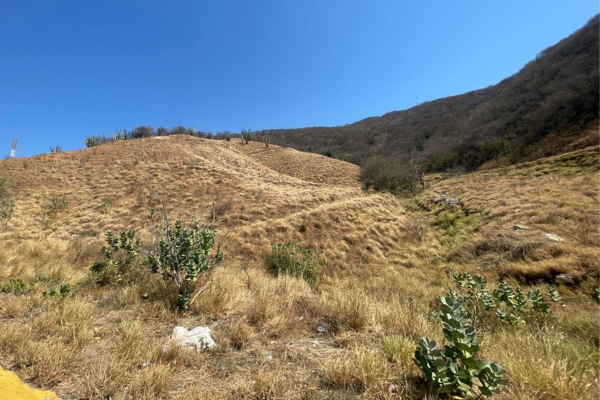 La sequía provocada por el Fenómeno del Niño ha transformado la apariencia de los cerros de Santa Marta, concentrándose especialmente en el cerro Ziruma.